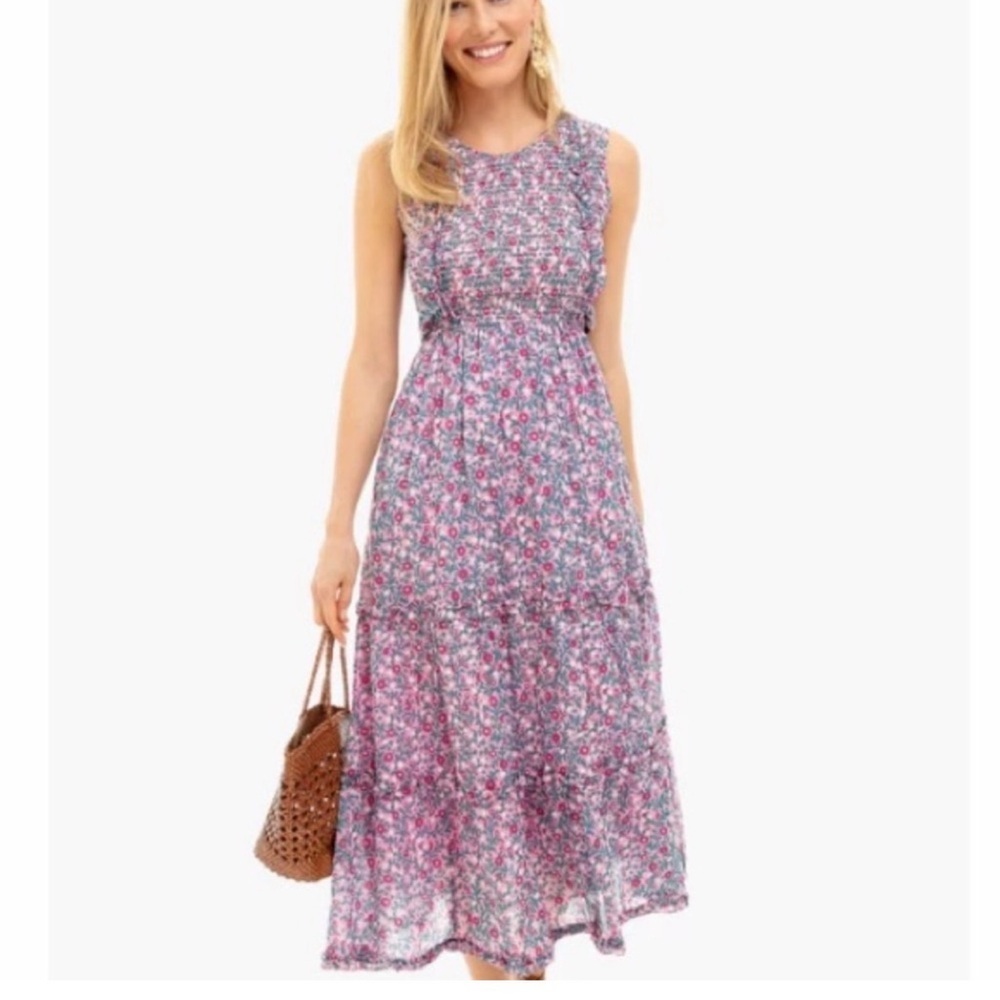 Tuckernuck Banjanan Smocked Tiered Ruffle Isha Wild Scattered Dress Block Print - Picture 11 of 11